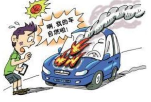 家用汽车能加多少天然气(家用汽车能加多少天然气,影响因素与实际操作指南) 家用汽车能加多少天然气(家用汽车能加多少天然气,影响因素与实际操作指南)