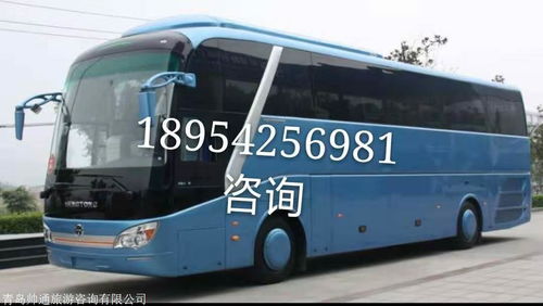 银川到上海汽车站多少钱(银川到上海汽车站的长途旅行费用详解) 银川到上海汽车站多少钱(银川到上海汽车站的长途旅行费用详解)