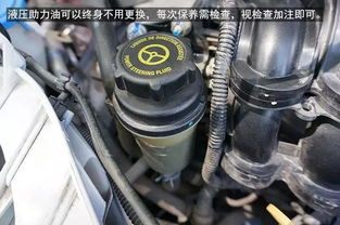 汽车加方向液压油多少钱(汽车加方向液压油的价格解析) 汽车加方向液压油多少钱(汽车加方向液压油的价格解析)