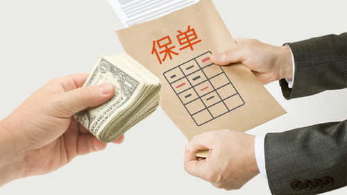 汽车保险座位险买多少个(汽车保险座位险购买数量探讨) 汽车保险座位险买多少个(汽车保险座位险购买数量探讨)