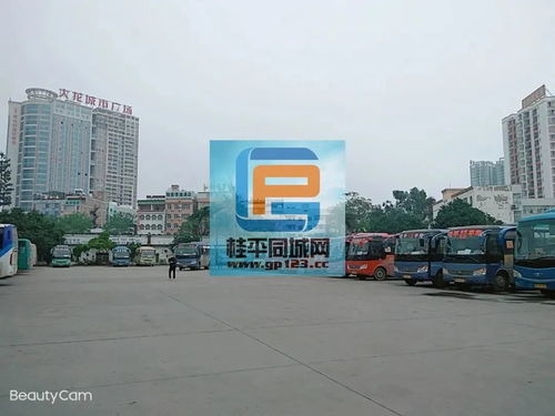 桂平江口汽车站电话多少(桂平江口汽车站电话多少,详细指南与相关信息) 桂平江口汽车站电话多少(桂平江口汽车站电话多少,详细指南与相关信息)
