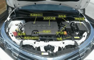 大众汽车换启动机多少钱(大众汽车换启动机的费用解析) 大众汽车换启动机多少钱(大众汽车换启动机的费用解析)