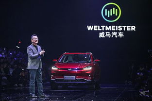 威合悦电动汽车多少钱(威合悦电动汽车价格解析及市场洞察) 威合悦电动汽车多少钱(威合悦电动汽车价格解析及市场洞察)