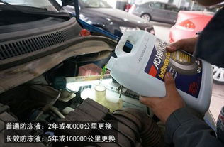 德州换汽车机油多少钱啊(德州汽车机油更换费用解析) 德州换汽车机油多少钱啊(德州汽车机油更换费用解析)