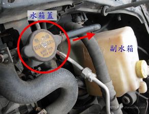 汽车水箱排气管多少钱(汽车水箱排气管价格解析,多少钱? 汽车水箱排气管多少钱(汽车水箱排气管价格解析,多少钱?