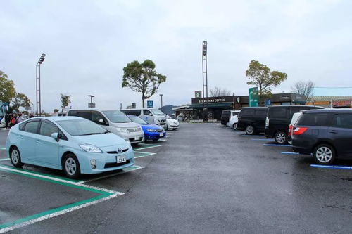 汽车彩钢板改车库多少钱(汽车彩钢板改车库的费用详解) 汽车彩钢板改车库多少钱(汽车彩钢板改车库的费用详解)