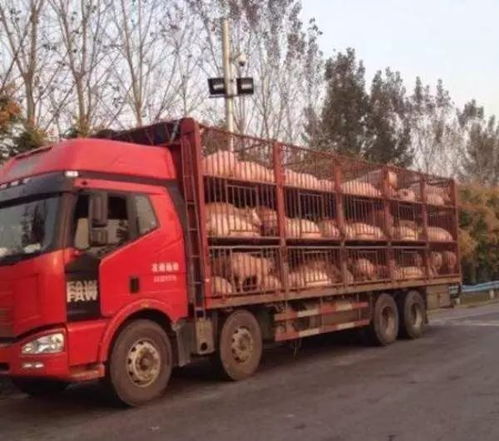 跑长途汽车买多少最合适(跑长途汽车买多少最合适,理性购车决策之道) 跑长途汽车买多少最合适(跑长途汽车买多少最合适,理性购车决策之道)