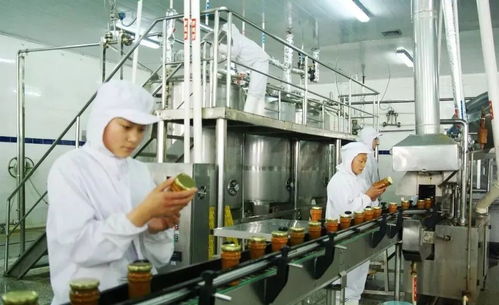 汽车上有多少种信号线路(汽车上的信号线路种类及其功能解析) 汽车上有多少种信号线路(汽车上的信号线路种类及其功能解析)