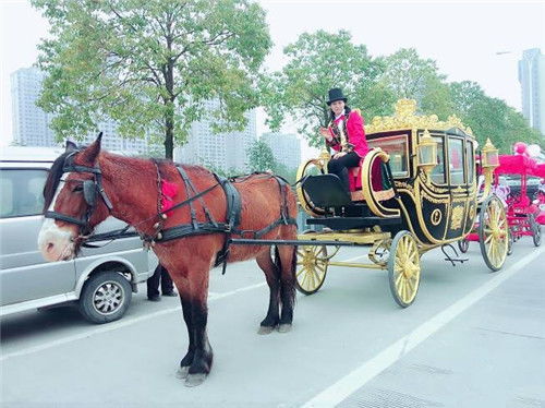 汽车和马车斗了多少年(汽车与马车,一场跨越数百年的较量) 汽车和马车斗了多少年(汽车与马车,一场跨越数百年的较量)