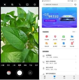 电脑抖音怎么拍照华为(华为电脑抖音拍照全攻略,轻松掌握拍照技巧与操作指南) 电脑抖音怎么拍照华为(华为电脑抖音拍照全攻略,轻松掌握拍照技巧与操作指南)