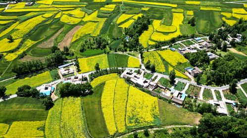 守住耕地这个命根子(坚守耕地,守住我们的命根子) 守住耕地这个命根子(坚守耕地,守住我们的命根子)
