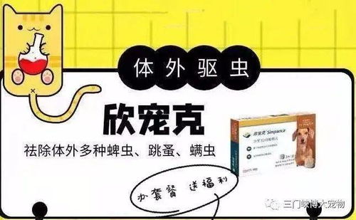 华为电脑怎么除静电啊(华为电脑除静电全攻略,保障您的电脑安全稳定运行) 华为电脑怎么除静电啊(华为电脑除静电全攻略,保障您的电脑安全稳定运行)