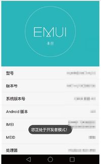 华为音乐怎么在电脑下载(华为音乐下载到电脑的详细步骤指南)