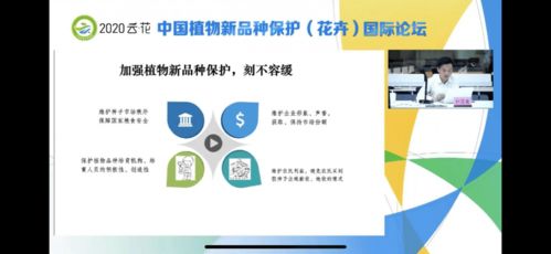 新买的华为电脑怎么保护(华为电脑保护指南,如何妥善保护您新买的华为电脑) 新买的华为电脑怎么保护(华为电脑保护指南,如何妥善保护您新买的华为电脑)