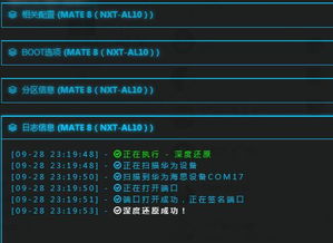 华为怎么知道电脑的密码(华为电脑密码揭秘，技术与安全的博弈)