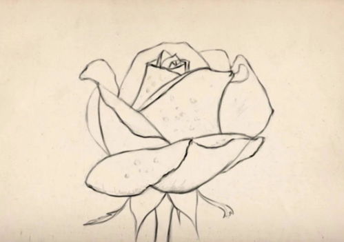 华为电脑版画画怎么画(华为电脑版画画,入门指南与技巧探索) 华为电脑版画画怎么画(华为电脑版画画,入门指南与技巧探索)