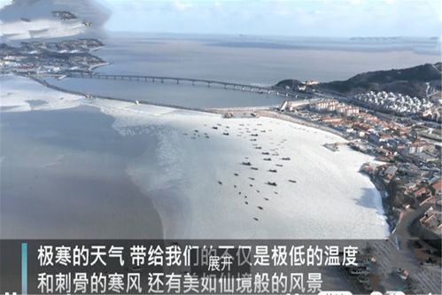 烟台海面变“草原”了(烟台海面惊现草原奇观) 烟台海面变“草原”了(烟台海面惊现草原奇观)