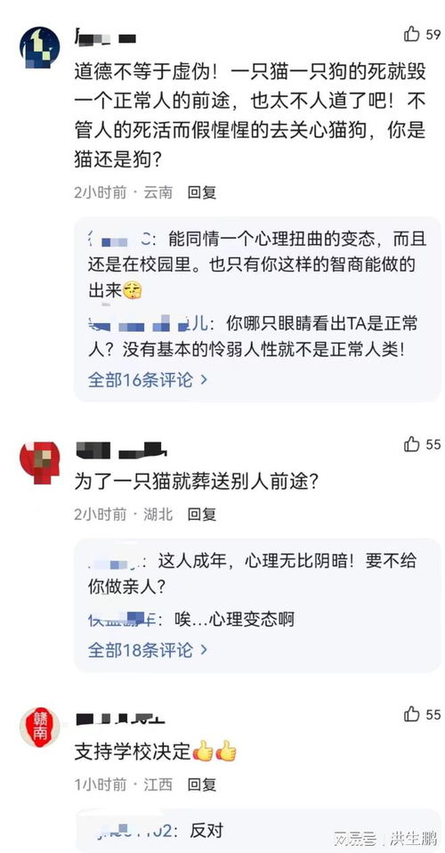 虐猫考生被取消招聘资格(虐猫考生被取消招聘资格,道德底线与职业操守的双重审视) 虐猫考生被取消招聘资格(虐猫考生被取消招聘资格,道德底线与职业操守的双重审视)
