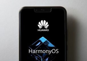 华为电脑怎么录多条指纹(华为电脑如何录多条指纹,详细操作指南) 华为电脑怎么录多条指纹(华为电脑如何录多条指纹,详细操作指南)