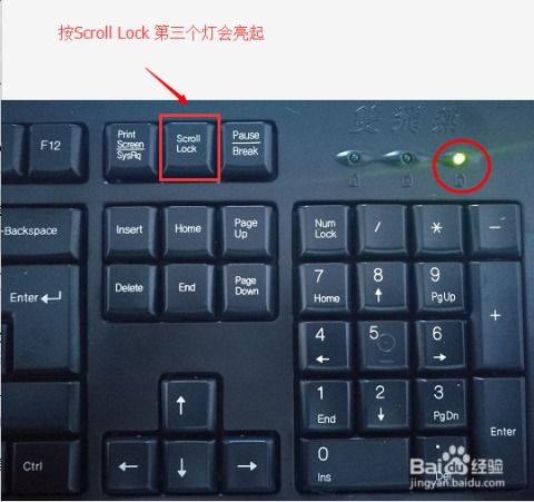 华为电脑怎么条件键盘灯(华为电脑键盘灯设置指南) 华为电脑怎么条件键盘灯(华为电脑键盘灯设置指南)