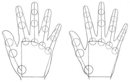 华为电脑画图怎么画的(华为电脑画图教程,轻松掌握画图技巧) 华为电脑画图怎么画的(华为电脑画图教程,轻松掌握画图技巧)
