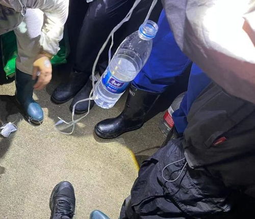 小伙到杭州一天抓12-15斤知了(小伙杭州一天抓获12-15斤知了,蝉鸣乐章背后的故事) 小伙到杭州一天抓12-15斤知了(小伙杭州一天抓获12-15斤知了,蝉鸣乐章背后的故事)
