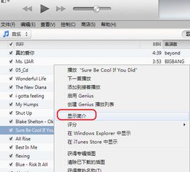 华为电脑itunes怎么下载(华为电脑iTunes下载指南) 华为电脑itunes怎么下载(华为电脑iTunes下载指南)