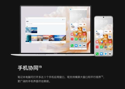 怎么共享屏幕 华为电脑(华为电脑如何轻松实现屏幕共享) 怎么共享屏幕 华为电脑(华为电脑如何轻松实现屏幕共享)