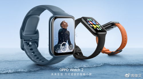 大同:将奖励翻8吨垃圾找手表环卫工(大同,将奖励翻8吨垃圾找手表的环卫工) 大同:将奖励翻8吨垃圾找手表环卫工(大同,将奖励翻8吨垃圾找手表的环卫工)