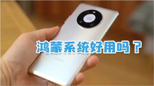 华为手机怎么系统尝鲜