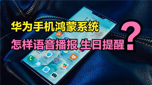 华为手机怎么设生日