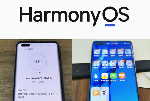 华为手机怎么信息没来 华为手机怎么信息没来