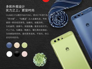 华为p手机怎么选 华为p手机怎么选
