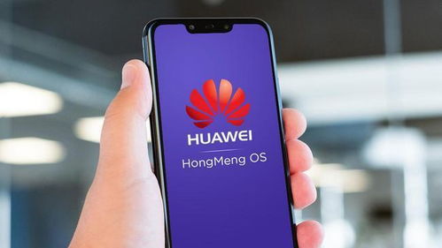 华为手机怎么拍照聚焦 华为手机怎么拍照聚焦