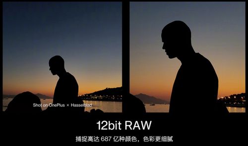 华为手机怎么下载哈苏 华为手机怎么下载哈苏