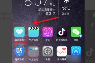 怎么知道华为正品手机 怎么知道华为正品手机