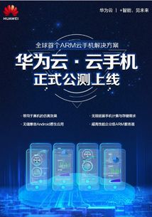 华为手机arm怎么设置