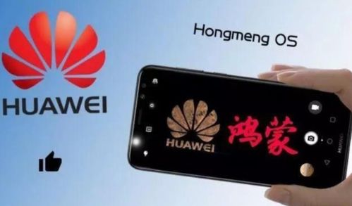 华为手机怎么升级存储 华为手机怎么升级存储