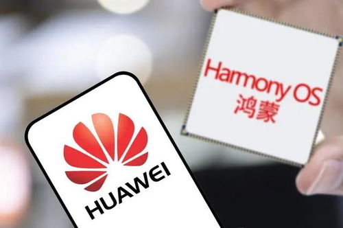 华为怎么刷掉鸿蒙手机 华为怎么刷掉鸿蒙手机