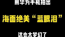 华为手机倍速怎么调 华为手机倍速怎么调