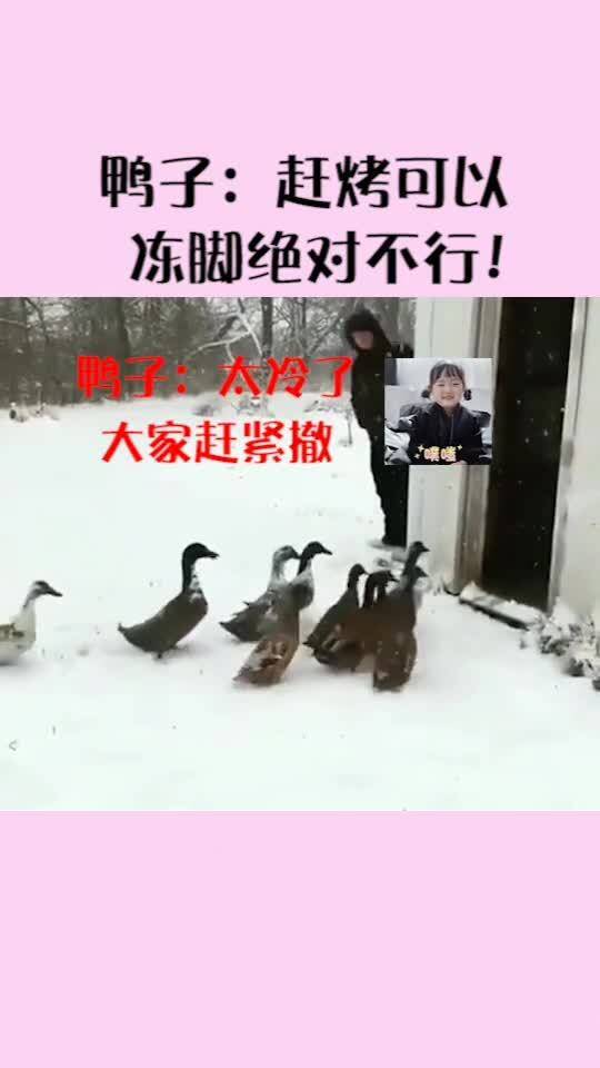 华为手机桌面怎么返回 华为手机桌面怎么返回