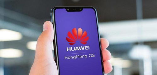 华为手机怎么关闭鸿蒙 华为手机怎么关闭鸿蒙