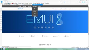 华为手机小号怎么申请 华为手机小号怎么申请