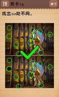 游戏大厅之最囧游戏攻略 VS deiland游戏攻略