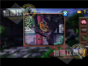飞车游戏攻略 VS 密室逃脱游戏游戏攻略 飞车游戏攻略 VS 密室逃脱游戏游戏攻略