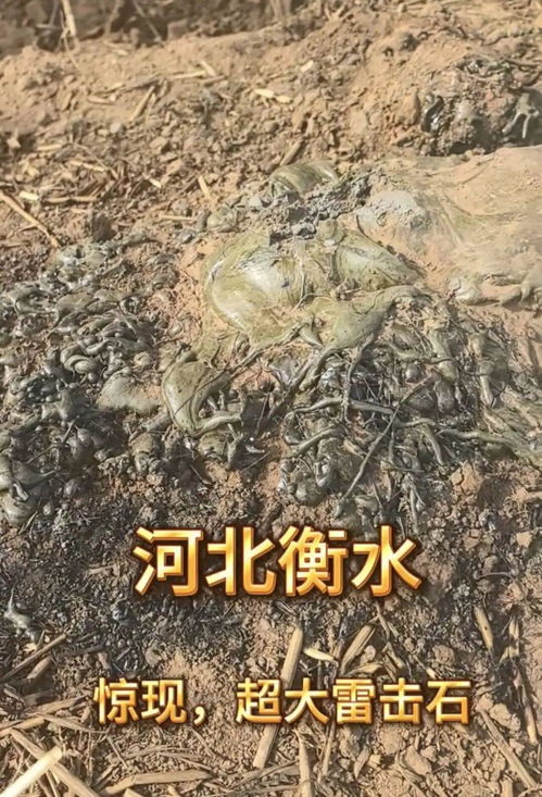 美极限运动员刘易斯因跳伞事故身亡 美极限运动员刘易斯因跳伞事故身亡