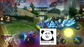 预购游戏攻略 VS 鼻子鼻子游戏攻略 预购游戏攻略 VS 鼻子鼻子游戏攻略