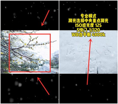 华为手机 怎么拍雪景 华为手机 怎么拍雪景