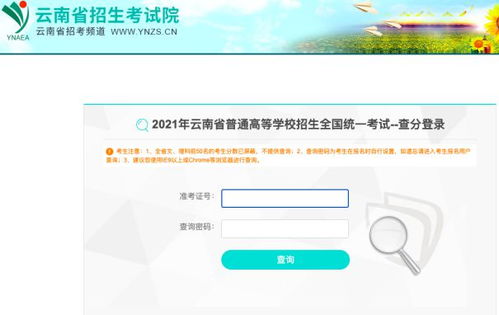 高考查分 高考查分