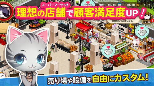 Vr游戏硬件攻略 VS 猫咪游戏大全游戏攻略 Vr游戏硬件攻略 VS 猫咪游戏大全游戏攻略